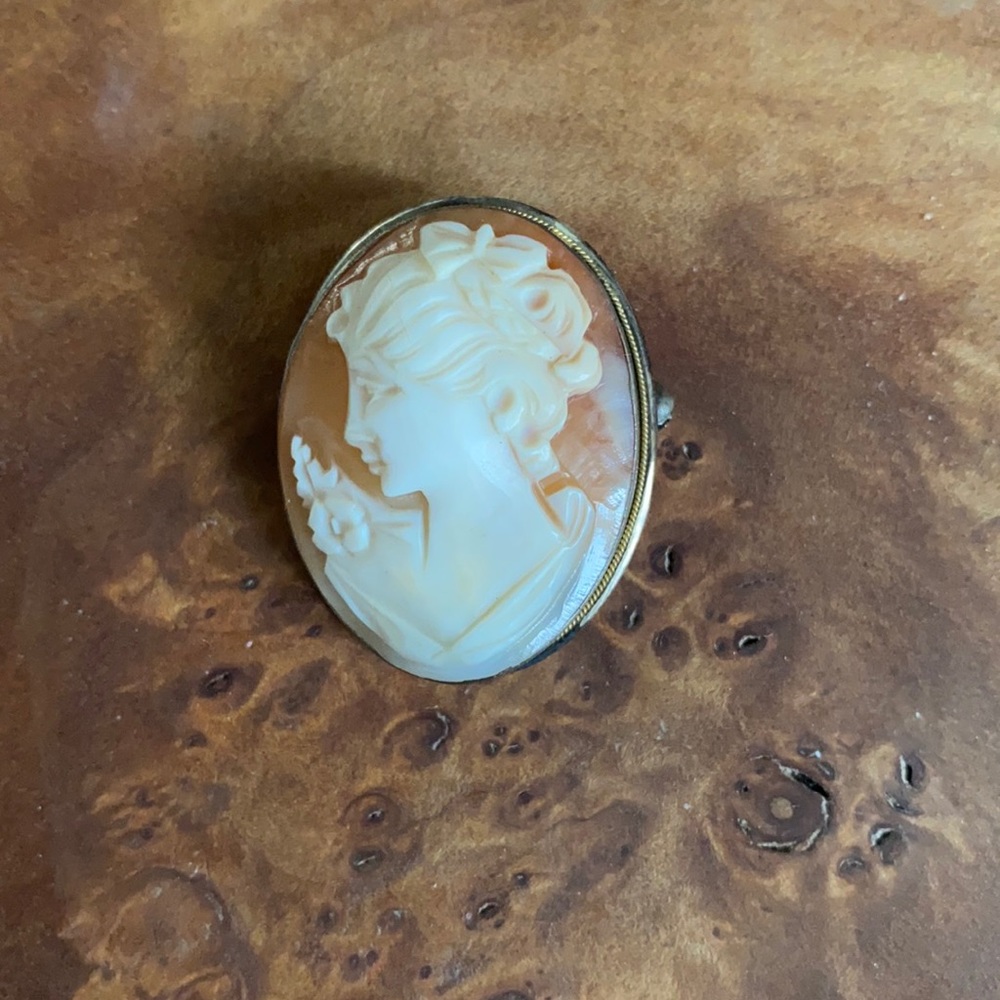 Cameo brooch